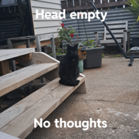 No thoughts head empty